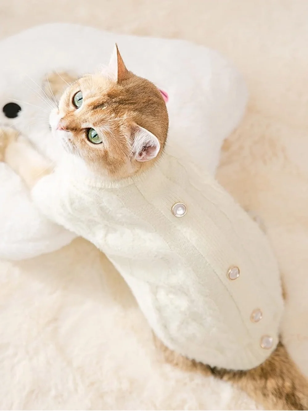 Cream Cable-Knit Cat Sweater with Pearl Button Accents